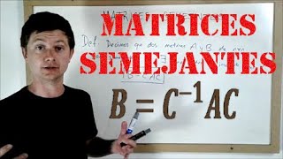 Matrices semejantes [upl. by Sheba]