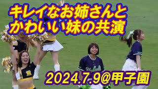 【TGきれいなお姉さん・YSかわいい妹★Tigers Girls amp Passions★コラボ舞う★202479】 [upl. by Eikcin]