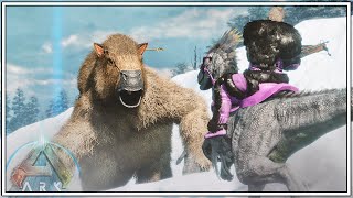 TAMING OUR FIRST MEGATHERIUM AND SHES A BEAST  ARK SURVIVAL ASCENDED EPISODE 22 [upl. by Cherian]