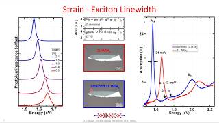 Strain Tuning of Excitons in monolayer WSe2 [upl. by Murdock]