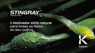 Stingray O biotivador 100 natural para todas as fases do cultivo de soja [upl. by Vel]