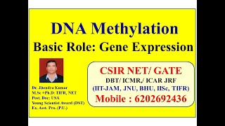 Transcription and Translation  Protein Synthesis From DNA  Biology [upl. by Press940]