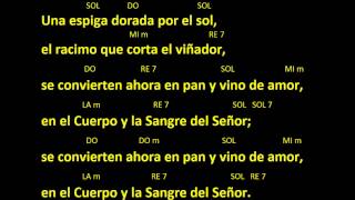 CANTOS PARA MISA  UNA ESPIGA DORADA POR EL SOL  COMUNION  ACORDES Y LETRA [upl. by Mimi134]