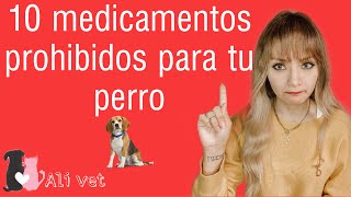 10 MEDICAMENTOS PROHIBIDOS PARA TU PERRO [upl. by Caldeira]