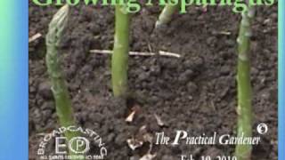 Growing AsparagusThe Practical Gardener [upl. by Enidlarej549]