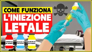 Come funziona liniezione letale e come avviene lesecuzione È davvero indolore  Pena di morte [upl. by Netsrejk]