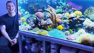 THE BEST REEF TANKS  2020 Review saltwater aquarium coral [upl. by Kingsbury]