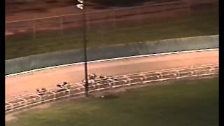 1993 GREYHOUND RACE OF CHAMPIONS  DIARYLAND WI [upl. by Ettebab531]