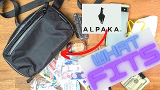 Alpaka Elements Tech Case Mini review  see what fits [upl. by Jarlen]