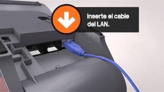 Tutorial POS  Verifone  Conexiones del equipo [upl. by Littlejohn]