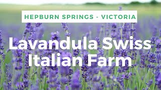 Lavandula Farm  Hepburn Springs Victoria [upl. by Eberto631]