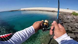 Ultralight Fishing Jeddah KSA  Laging na a unhook bakit kaya [upl. by Areis]