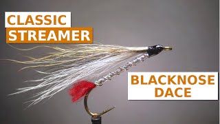 Fly Tying a Blacknose Dace Art Flick Bucktail Streamer [upl. by Kirsten]