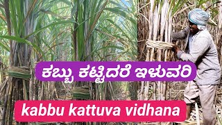 ಕಬ್ಬು ಕಟ್ಟುವ ಸರಳ ವಿಧಾನ  Sugarcane Binding Process in kannada ✅️ [upl. by Doralynne24]