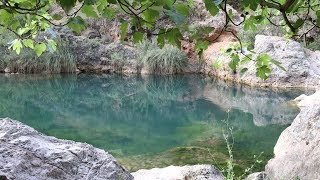 Charco del Aceite  Sierra de Cazorla Segura y las Villas [upl. by Blus]