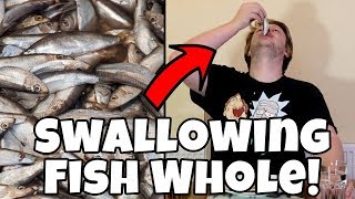 SWALLOWING 21 FISH WHOLE  WheresMyChallenge [upl. by Kylander796]