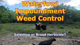 Controlling Weeds in a Waterfowl Impoundment with 24 D  Duck Hunting [upl. by Llerahc236]