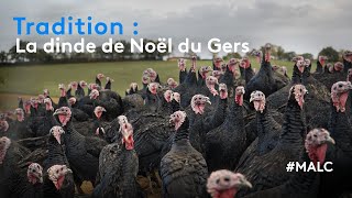 Tradition  la dinde de Noël du Gers [upl. by Hux989]