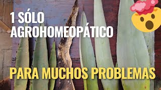 TRATAR MUCHAS PLAGAS CON UN SÓLO AGROHOMEOPÁTICO  AGROHOMEOPATÍA [upl. by Gnaoh81]