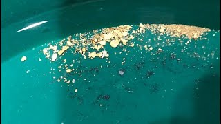 Gold Panning on Lynx Creek Arizona January 2019 [upl. by Ahsienyt]