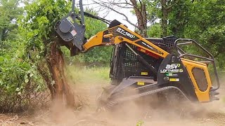 Shredding Trees with a Forestry Mulcher [upl. by Keyte]