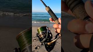 Carrete Daiwa BG SW CXH 5000 fishing krakenluresmx inshorefishing pescadeorilla pesca daiwa [upl. by Anagnos]