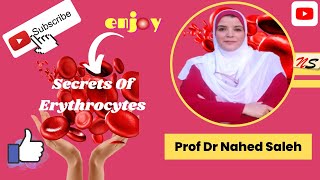 Secrets in Clinical Pathology 5 Reticulocyte maturation and release [upl. by Annoyik]