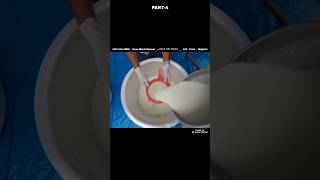 100 Liter Milk  How Much Paneer कितना पनीर निकलेगा   100 Pure  Organic shorts [upl. by Obe]