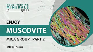 Muscovite thin section under Polarized Microscope [upl. by Niro]