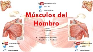 Anatomía  Músculos del Hombro Origen Inserción Acción Inervación Irrigación [upl. by Aicsila684]