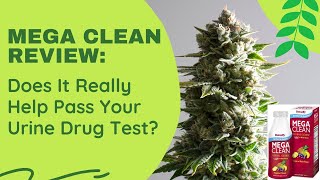 Mega Clean Detailed Review Does It Really Help Pass Your Urine Drug Test in 2024 [upl. by Maite]