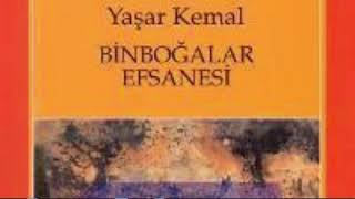 Yaşar kemal🌺Binboğalar efsanesi PART 1 SESLİ KİTAP книга roman yaşarkemal binboğalarefsanesi [upl. by Berstine689]