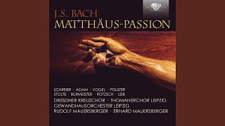 MatthäusPassion BWV 244 Pt 1 No 4 Recitative quotDa versammleten sich die Hohenpriesterquot [upl. by Ivz]