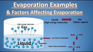 What is  Evaporation Definition  Examples amp Factors Affecting Evaporation  Rate of Evaporation [upl. by Magan]