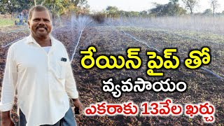 Rain Pipe Irrigation System  రేయిన్ పైప్ తో పంటలు పండిస్తున్న  Shiva Agri Clinic [upl. by Oeht326]