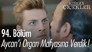 Aycanı organ mafyasına verdik  Kırgın Çiçekler 94 Bölüm [upl. by Ayanad]