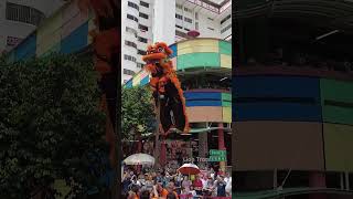 Nam Sieng at Chinatown Five Footway Festival 南仙在五脚基节表演 17 Mar 2024 shorts liondance [upl. by Marcellina]