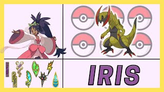 IRIS  アイリス POKEMON TEAM JOURNEY TO CHAMPION [upl. by Mashe]