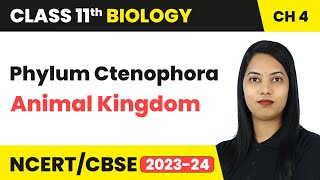 Phylum Ctenophora  Animal Kingdom  Class 11 Biology Chapter 4  CBSE 202425 [upl. by Piwowar]