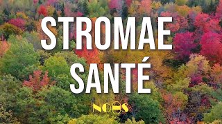 Stromae  Santé ParolesLyrics [upl. by Colt309]