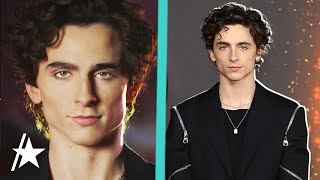 See The STRIKINGLY Accurate New Timothée Chalamet Wax Figure [upl. by Dusen]