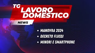 TG LAVORO DOMESTICO 30112023 [upl. by Yvon879]