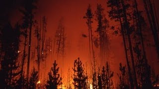 The Story Behind the Yellowstone Fires of 1988  Retro Report  The New York Times [upl. by Hephzipah]