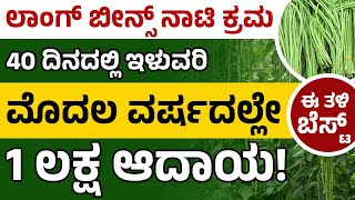 How To Grow Yard Long Green Beans  Long Beans Cultivation In Kannada  ಬೀನ್ಸ್ ಬೇಸಾಯ 1 ಲಕ್ಷ ಲಾಭ [upl. by Dam]