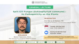 GENERAL LECTURE  Split Gill Fungus Schizophyllum commune  Its Pathogenecity on the Plants [upl. by Ecart409]