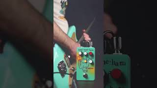 Malaise Forever Clubber Lang  Harmonic Percolator fuzz [upl. by Franckot]