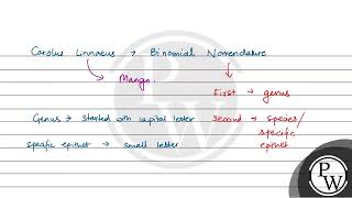 Select the correctly written scientific name of Mango which was first described by Carolus Linna [upl. by Horick774]