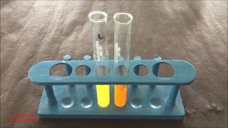 Phytochemical Test for Flavonoid  Flavonoid Identification Test  Flavonoid Test  ENGLISH [upl. by Noirda]