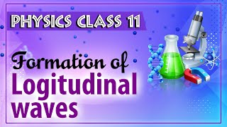 Formation of Longitudinal waves  Sound waves  Physics Class 11  HSC  CBSE  IIT JEE  NEET [upl. by Yelha]