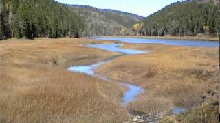 Bay of Fundy Timelapse Upper Salmon River Estuary [upl. by Aronek]